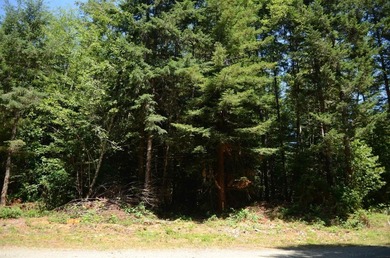 Rare and beautiful subdivision lot w/secluded privacy and Del - photo 4