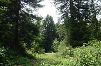 Smith River Lot For Sale in Crescent City California