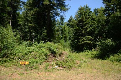Rare and beautiful subdivision lot w/secluded privacy and Del - photo 2