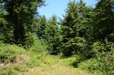 Rare and beautiful subdivision lot w/secluded privacy and Del - photo 3