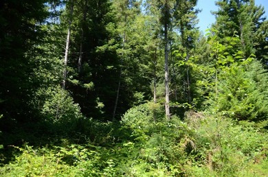 Rare and beautiful subdivision lot w/secluded privacy and Del - photo 4