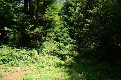 Rare and beautiful subdivision lot w/secluded privacy and Del - photo 6