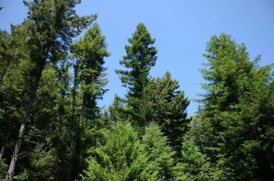 Rare and beautiful subdivision lot w/secluded privacy and Del - photo 7