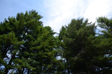 Smith River Lot For Sale in Crescent City California