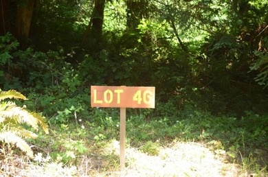 Rare and beautiful subdivision lot w/secluded privacy and Del - photo 2