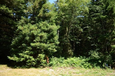 Rare and beautiful subdivision lot w/secluded privacy and Del - photo 10