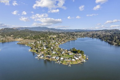 Completed in December 2024, this exquisite lakefront retreat - photo 43