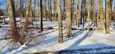 CORNER LOT! BUILD YOUR DREAM HOME AT BEAUTIFUL LAKE - photo 3