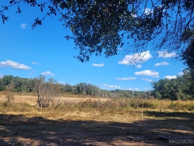 Citrus Lake  Lot Sale Pending in Inverness Florida