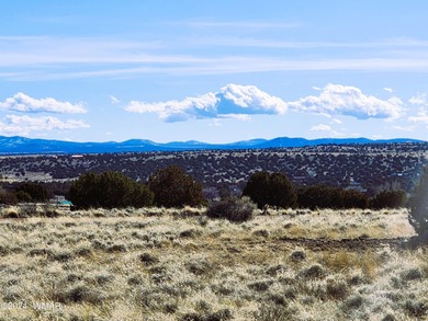 Concho Lake Lot For Sale in Concho Arizona