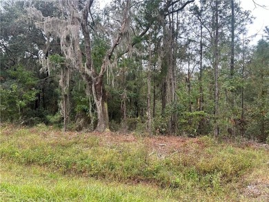 Build your dream home! This 1.76 acre tract of land is situated - photo 2