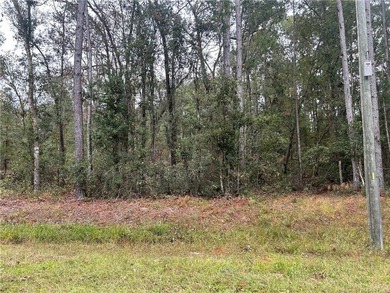 Build your dream home! This 1.76 acre tract of land is situated - photo 4