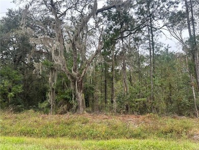 Build your dream home! This 1.76 acre tract of land is situated - photo 5