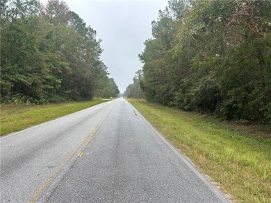 Build your dream home! This 1.76 acre tract of land is situated - photo 6