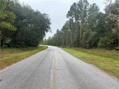 Build your dream home! This 1.76 acre tract of land is situated - photo 7