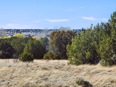 Concho Lake Lot For Sale in Concho Arizona