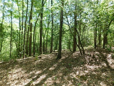 Lake Keowee Acreage For Sale in Salem South Carolina