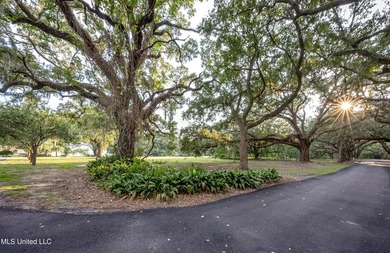 Gorgeous, centuries-old majestic oaks line these level, one-acre - photo 11