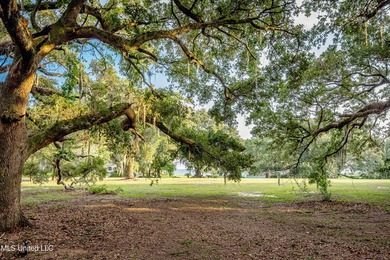 Gorgeous, centuries-old majestic oaks line these level, one-acre - photo 12