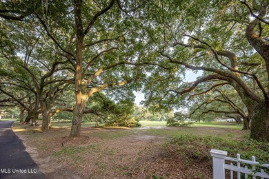 Gorgeous, centuries-old majestic oaks line these level, one-acre - photo 14