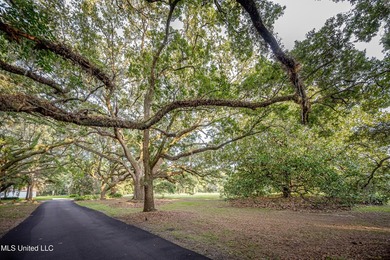 Gorgeous, centuries-old majestic oaks line these level, one-acre - photo 16