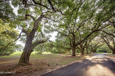 Gorgeous, centuries-old majestic oaks line these level, one-acre - photo 17