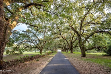 Gorgeous, centuries-old majestic oaks line these level, one-acre - photo 18