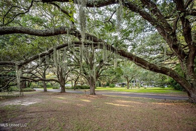 Gorgeous, centuries-old majestic oaks line these level, one-acre - photo 22