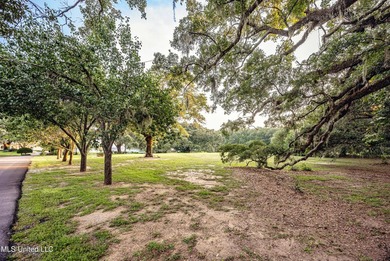 Gorgeous, centuries-old majestic oaks line these level, one-acre - photo 26
