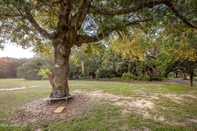 Gorgeous, centuries-old majestic oaks line these level, one-acre - photo 27
