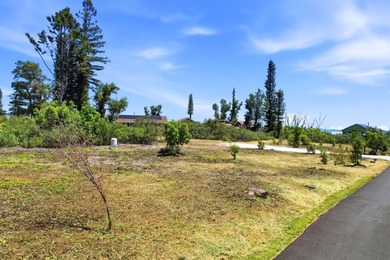 1.17 acre flat homesite in Bonny Doons Braemoor neighborhood - photo 2