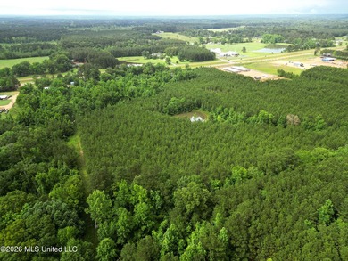 Lot for sale in Brookhaven, MSe check out this +/- 15-acre - photo 1