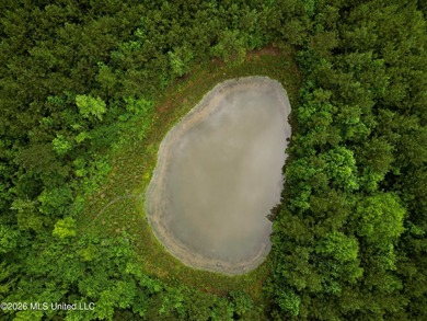 Lot for sale in Brookhaven, MSe check out this +/- 15-acre - photo 4