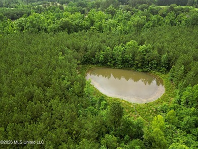 Lot for sale in Brookhaven, MSe check out this +/- 15-acre - photo 8