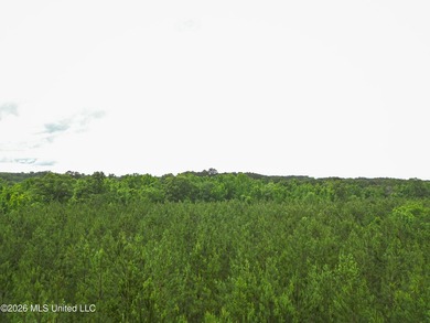 Lot for sale in Brookhaven, MSe check out this +/- 15-acre - photo 9