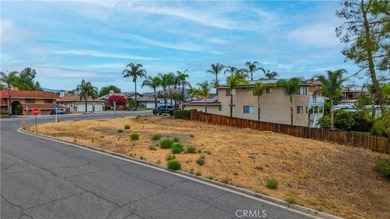 Fabulous flat corner lot with access from two streets, well - photo 4