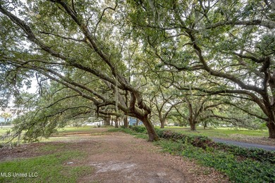 Gorgeous, centuries-old majestic oaks line these level, one-acre - photo 11
