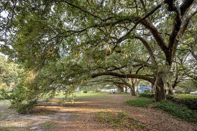 Gorgeous, centuries-old majestic oaks line these level, one-acre - photo 12