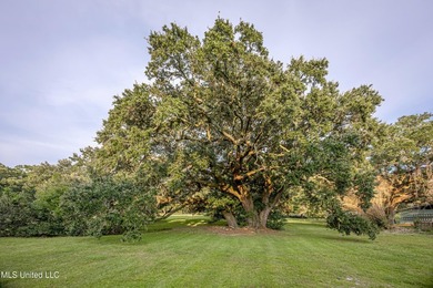 Gorgeous, centuries-old majestic oaks line these level, one-acre - photo 14
