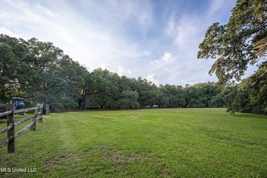 Gorgeous, centuries-old majestic oaks line these level, one-acre - photo 15