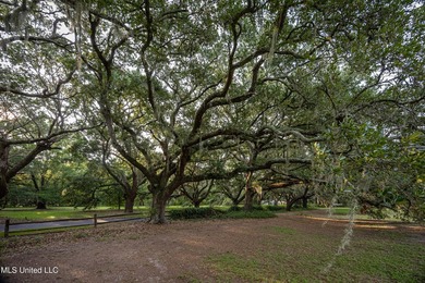 Gorgeous, centuries-old majestic oaks line these level, one-acre - photo 16