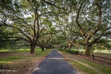 Gorgeous, centuries-old majestic oaks line these level, one-acre - photo 18