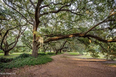 Gorgeous, centuries-old majestic oaks line these level, one-acre - photo 19