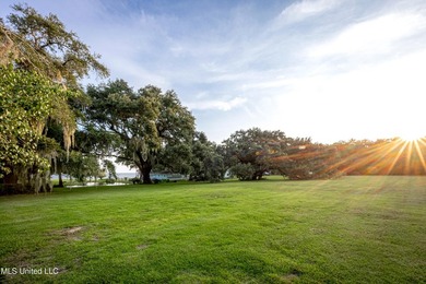Gorgeous, centuries-old majestic oaks line these level, one-acre - photo 20
