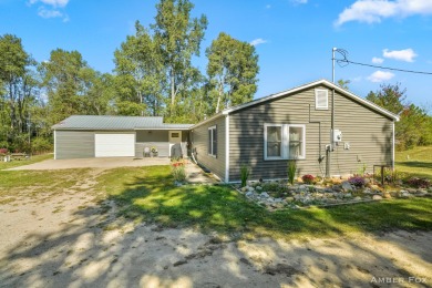 Lake Home For Sale in White Cloud, Michigan