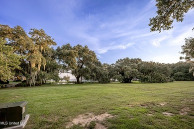 Gorgeous, centuries-old majestic oaks line these level, one-acre - photo 22