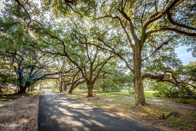 Gorgeous, centuries-old majestic oaks line these level, one-acre - photo 25