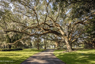 Gorgeous, centuries-old majestic oaks line these level, one-acre - photo 26
