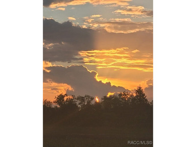 Withlacoochee River Lot For Sale in Webster Florida