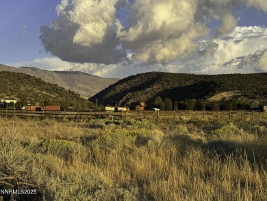 (private lake, pond, creek) Acreage For Sale in Gardnerville Nevada